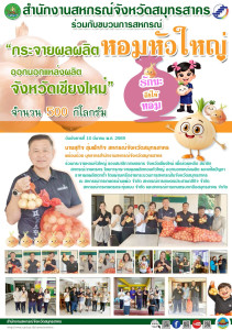ร่วมกระจายหอมหัวใหญ่ ของสมาชิก/เกษตรกร จังหวัดเชียงใหม่ ... พารามิเตอร์รูปภาพ 1