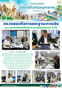 เข้าตรวจสอบกิจการและฐานะการเงิน ... พารามิเตอร์รูปภาพ 1