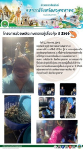 ตรวจสอบการรับซื้อกุ้งประจำจุดรับซื้อกุ้ง ... พารามิเตอร์รูปภาพ 1
